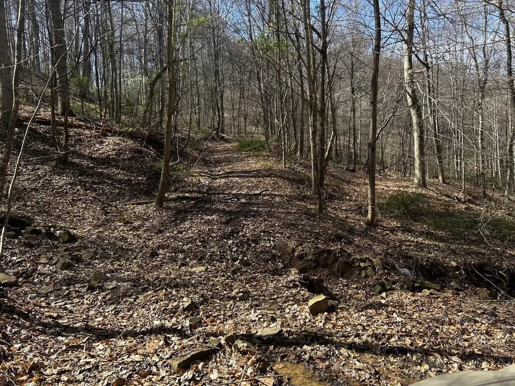 11356 E Kentucky 10 Garrison KY 41141