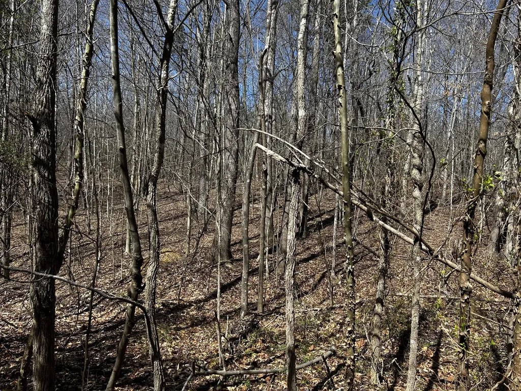 11356 E Kentucky 10 Garrison KY 41141