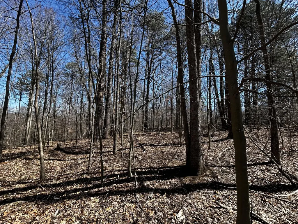 11356 E Kentucky 10 Garrison KY 41141