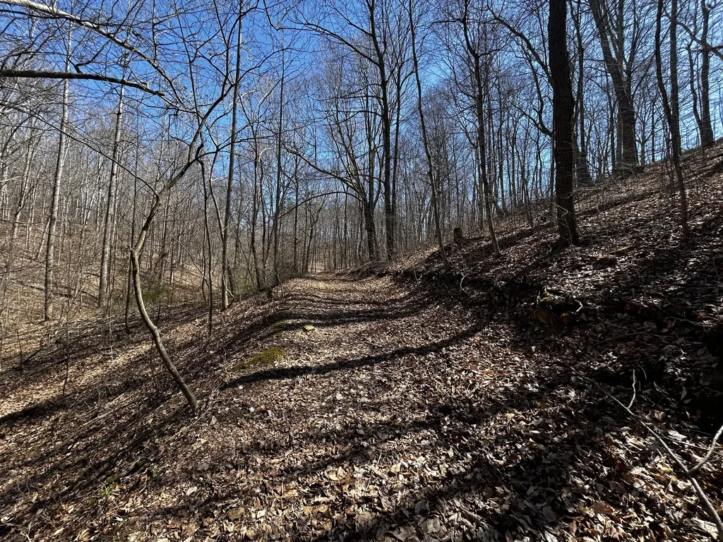 11356 E Kentucky 10 Garrison KY 41141