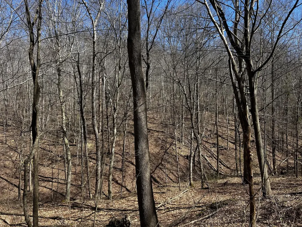 11356 E Kentucky 10 Garrison KY 41141