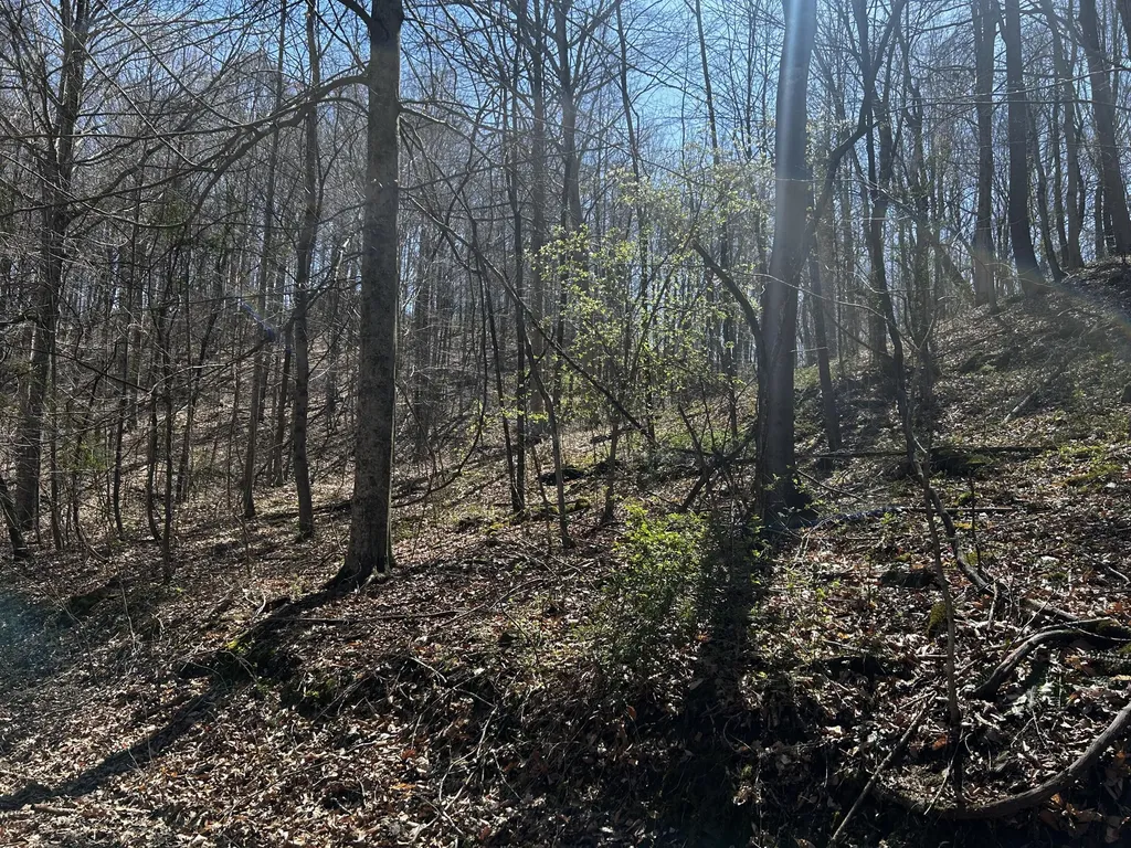 11356 E Kentucky 10 Garrison KY 41141