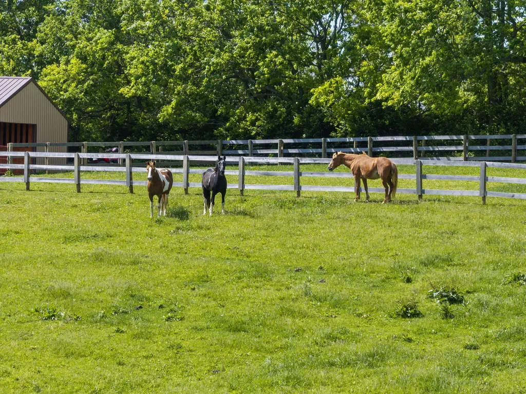 3874 Grays Run Pike Cynthiana KY 41031