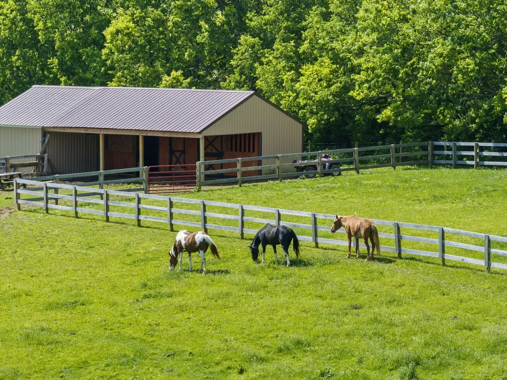 3874 Grays Run Pike Cynthiana KY 41031