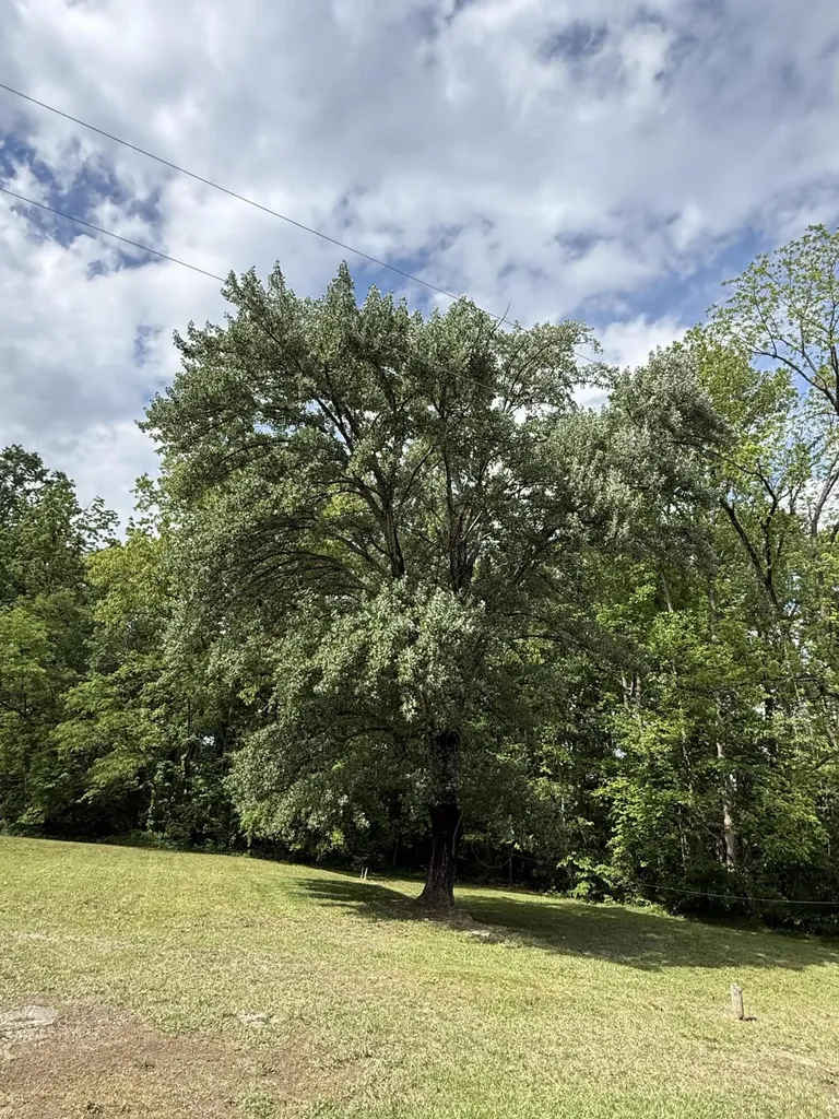 100 Nolan Lane Somerset KY 42501