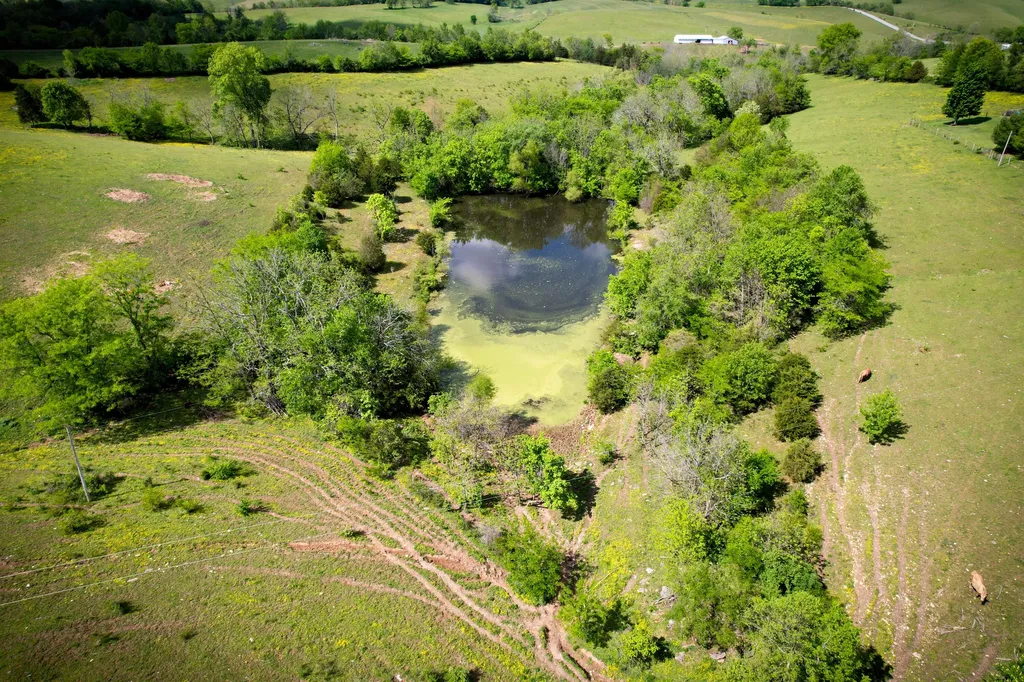 275 Teal Moon Trace Flemingsburg KY 41041