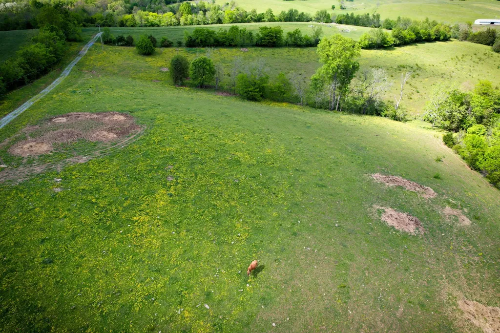 275 Teal Moon Trace Flemingsburg KY 41041