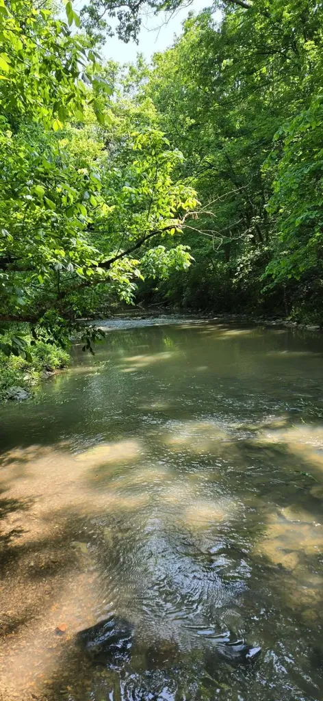 275 Teal Moon Trace Flemingsburg KY 41041