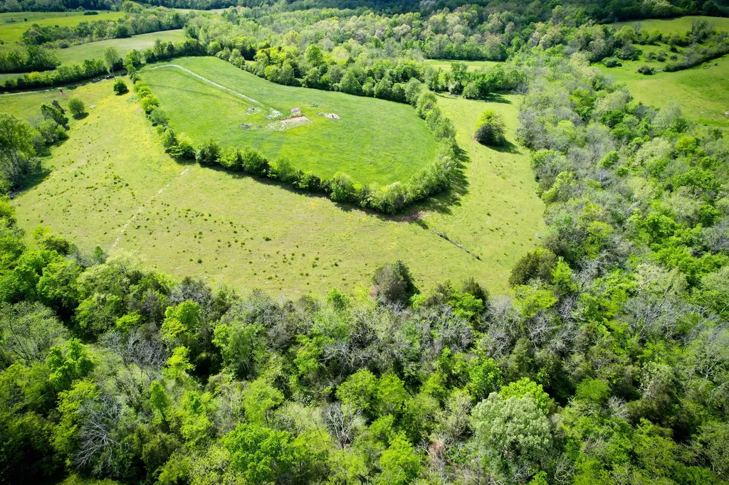 275 Teal Moon Trace Flemingsburg KY 41041