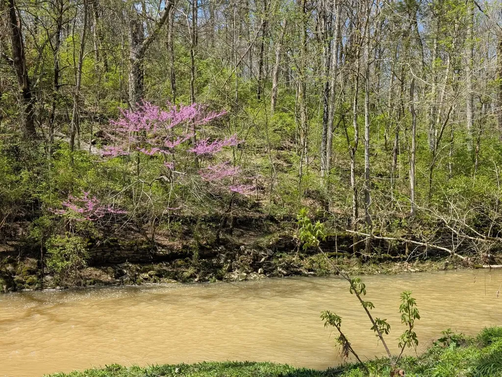 275 Teal Moon Trace Flemingsburg KY 41041