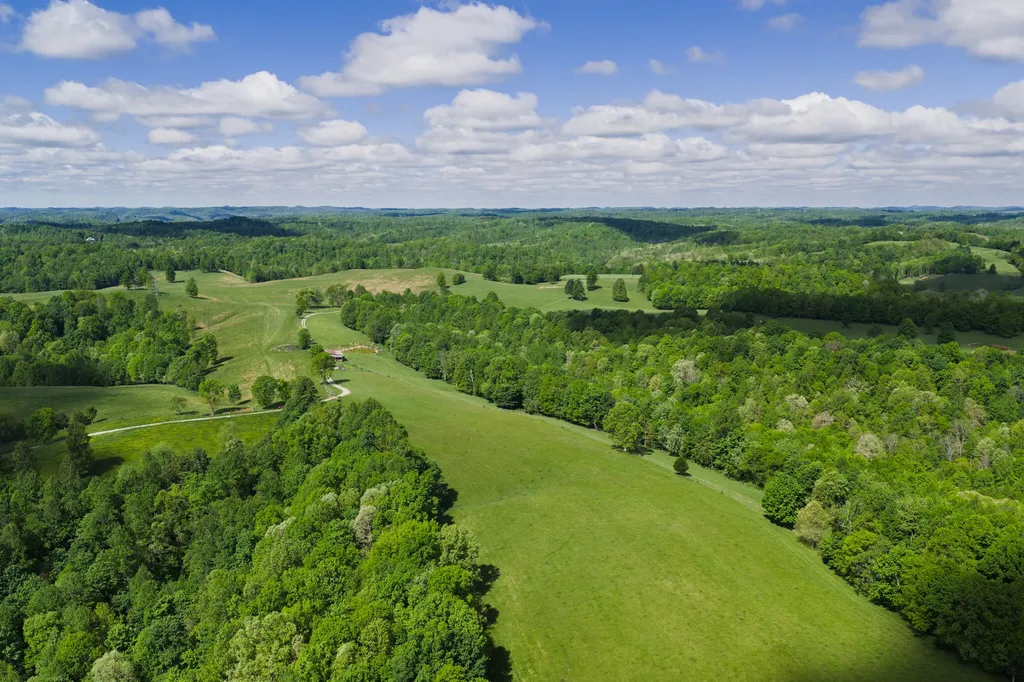 0 Earn Purnell Cemetery Road Olive Hill KY 41164