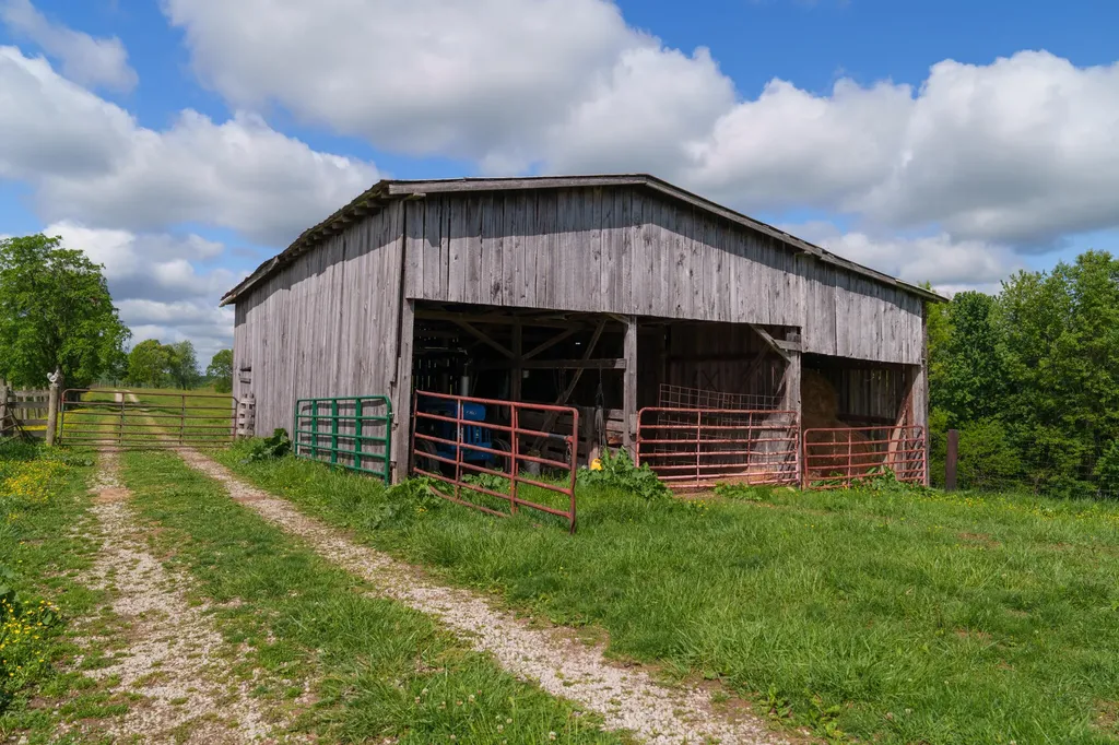 0 Earn Purnell Cemetery Road Olive Hill KY 41164