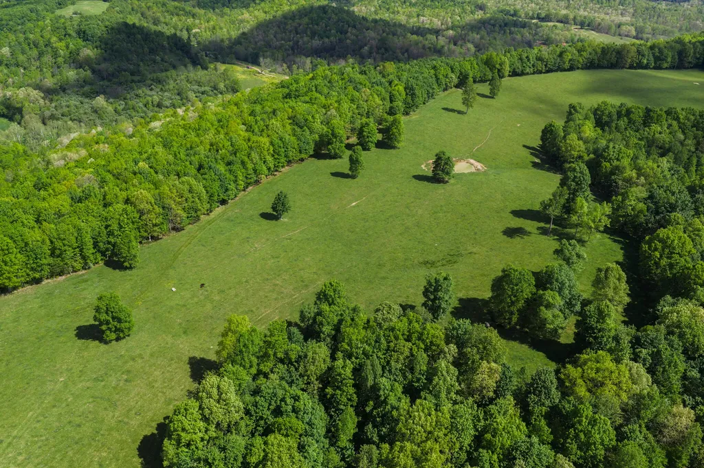0 Earn Purnell Cemetery Road Olive Hill KY 41164