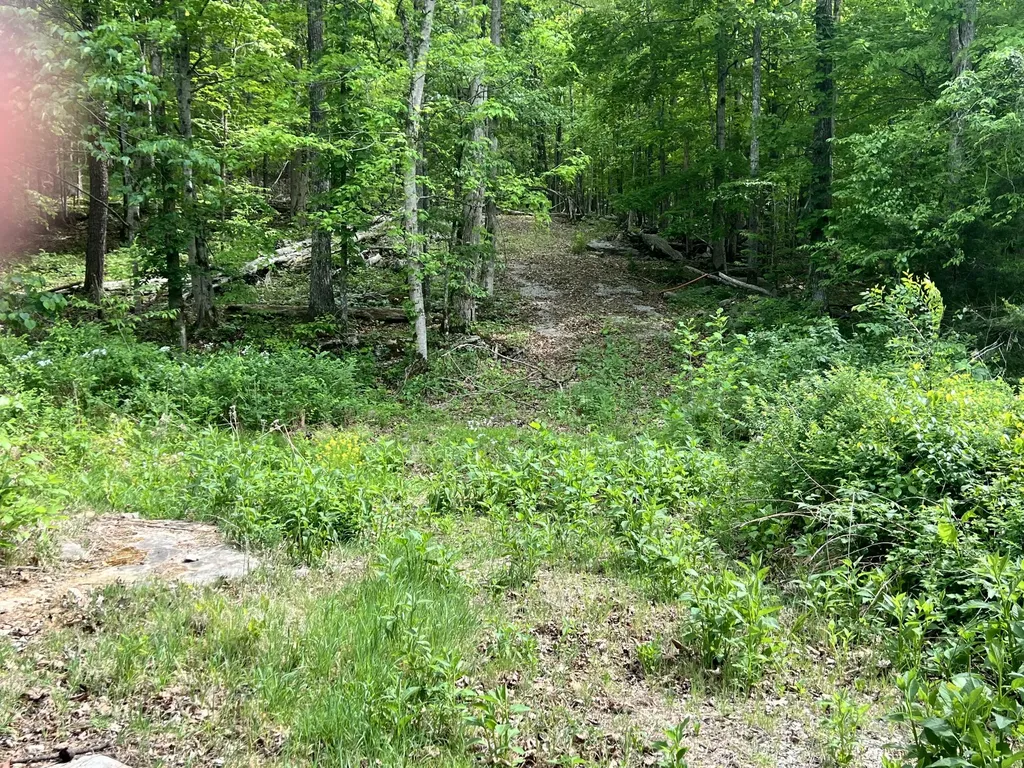 0 Echo Point Road Bronston KY 42518