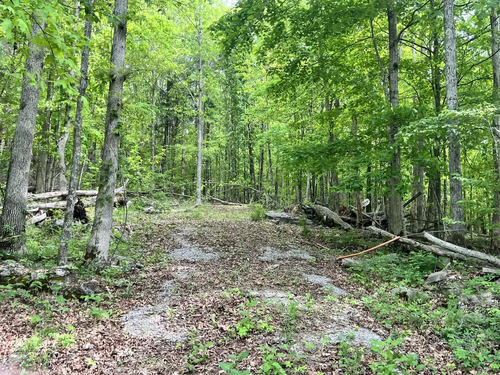 0 Echo Point Road Bronston KY 42518
