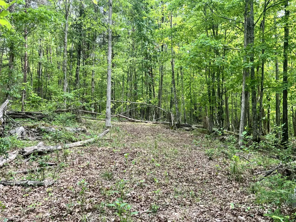 0 Echo Point Road Bronston KY 42518