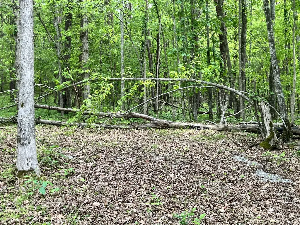0 Echo Point Road Bronston KY 42518