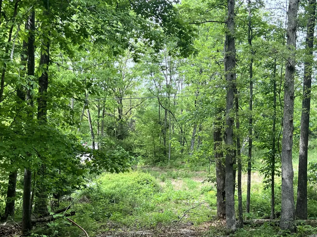 0 Echo Point Road Bronston KY 42518