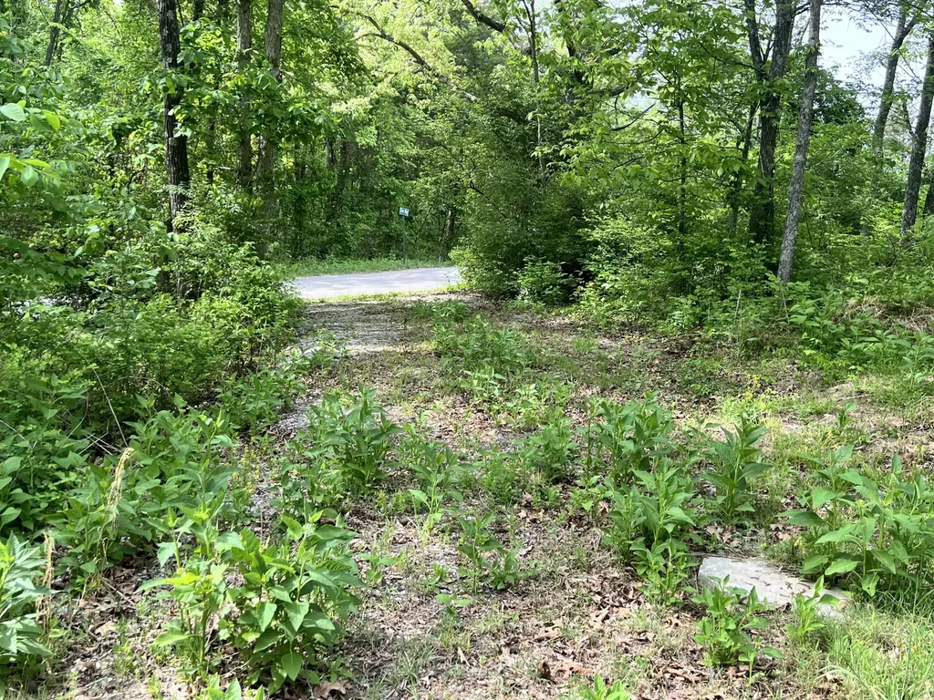 0 Echo Point Road Bronston KY 42518
