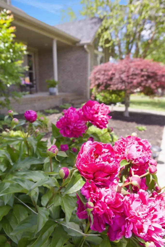 155 Clay Avenue Lancaster KY 40444