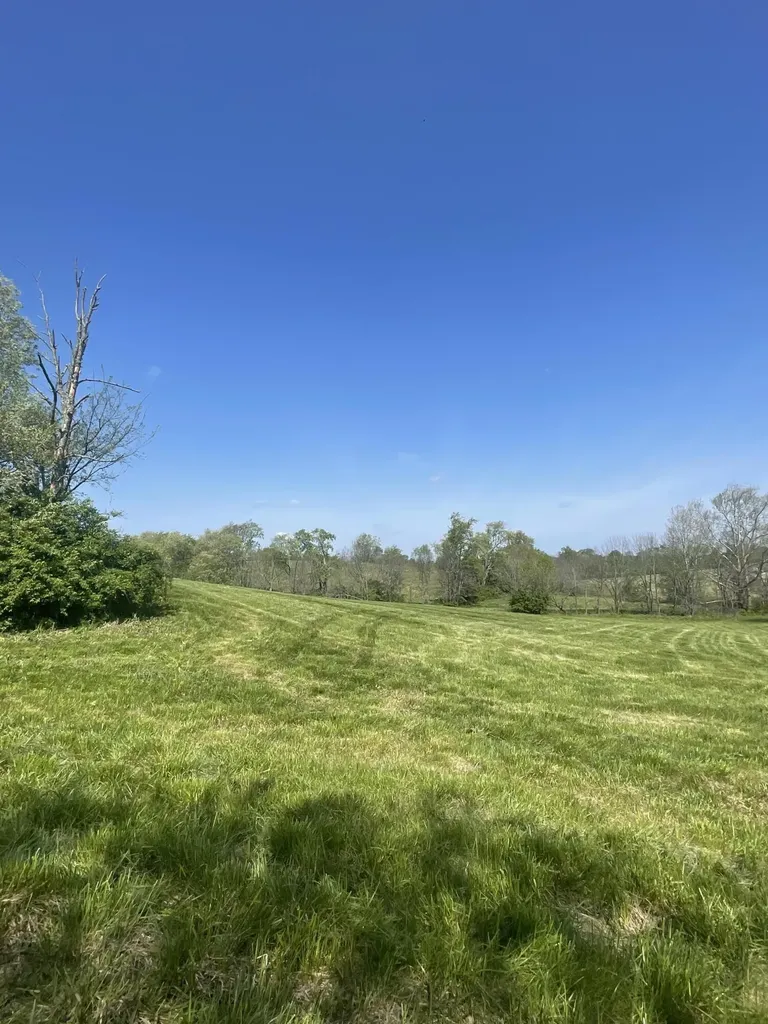 3527 W 36 Highway Cynthiana KY 41031