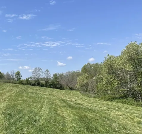 3527 W 36 Highway Cynthiana KY 41031