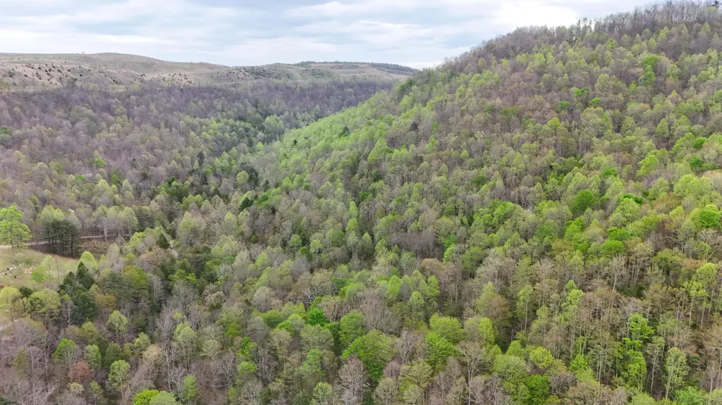 0 Dryfork Road Helton KY 40840