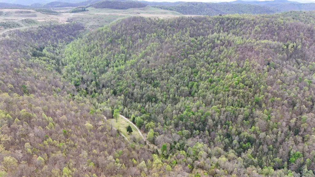 0 Dryfork Road Helton KY 40840