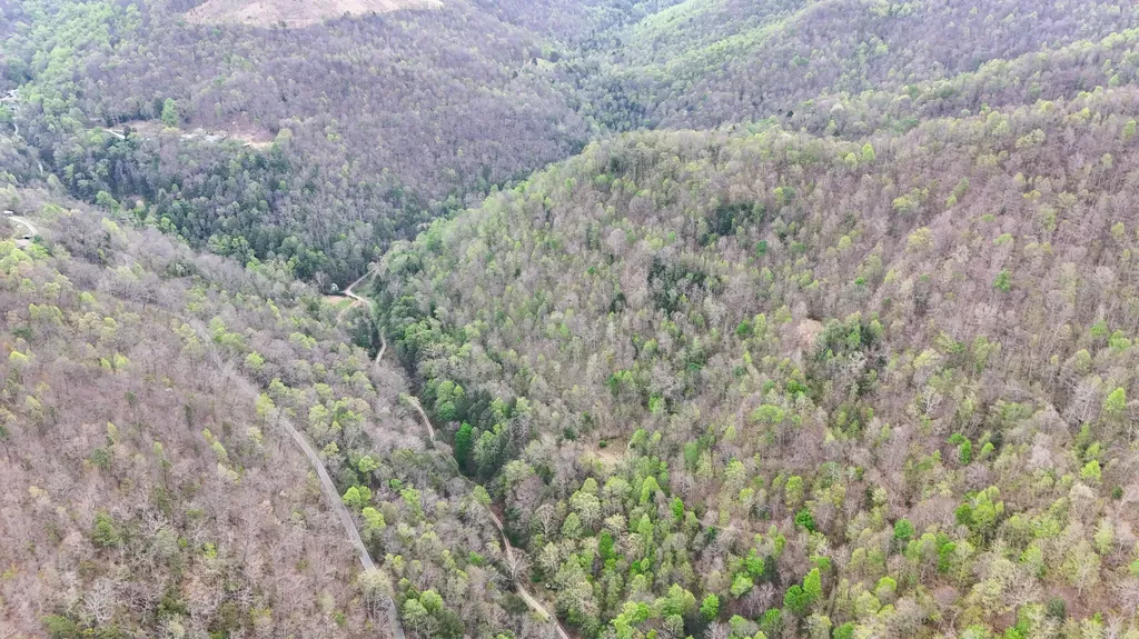 0 Dryfork Road Helton KY 40840