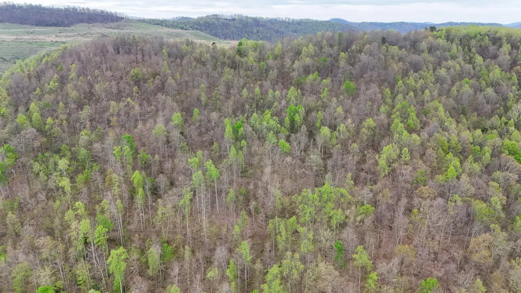 0 Dryfork Road Helton KY 40840