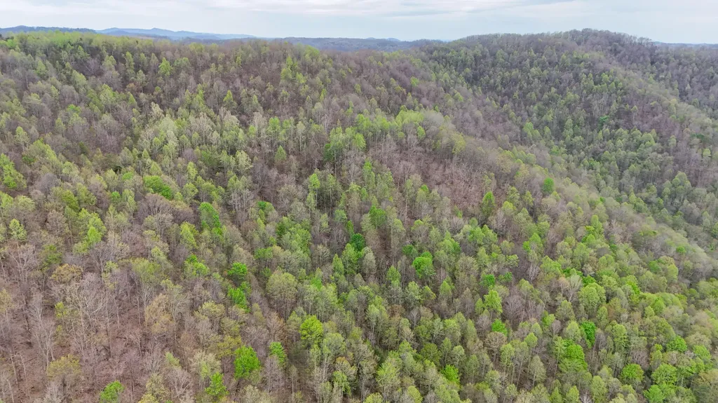 0 Dryfork Road Helton KY 40840