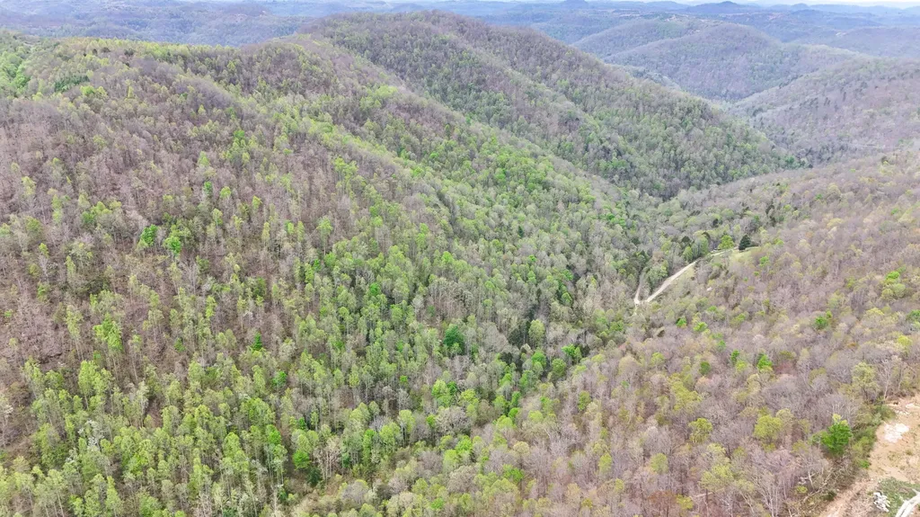 0 Dryfork Road Helton KY 40840