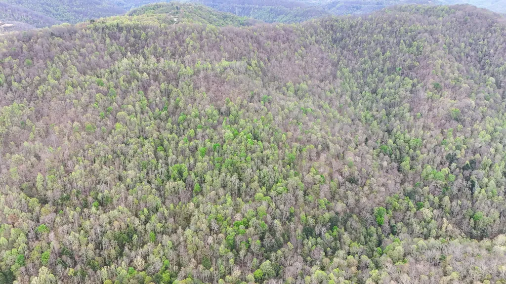 0 Dryfork Road Helton KY 40840