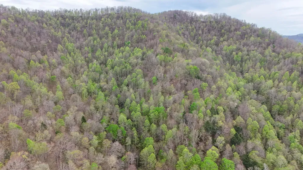 0 Dryfork Road Helton KY 40840
