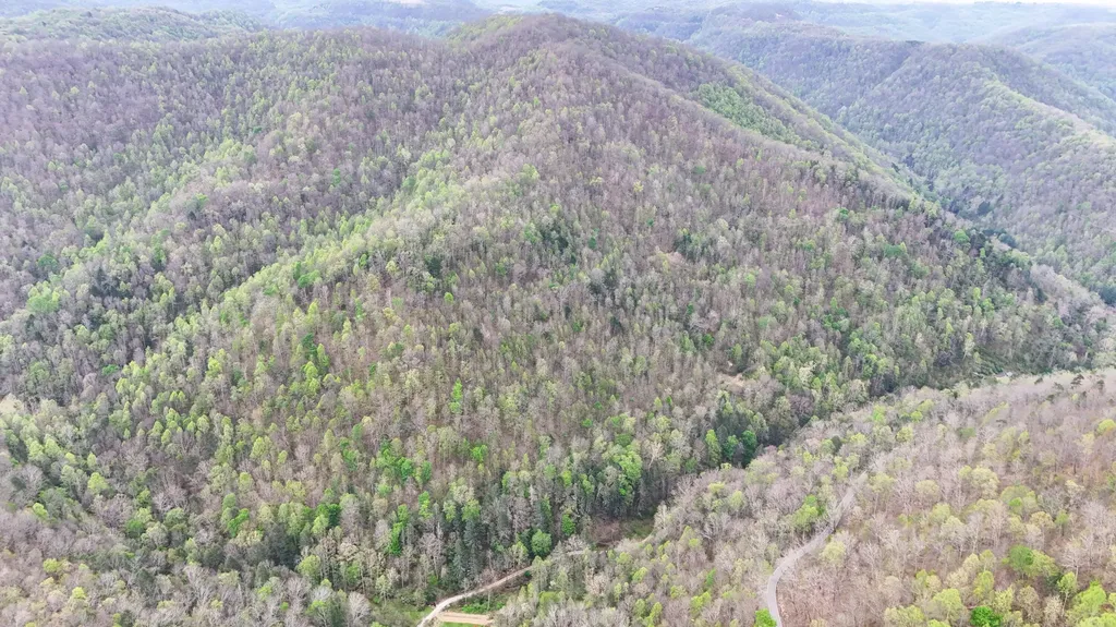 0 Dryfork Road Helton KY 40840
