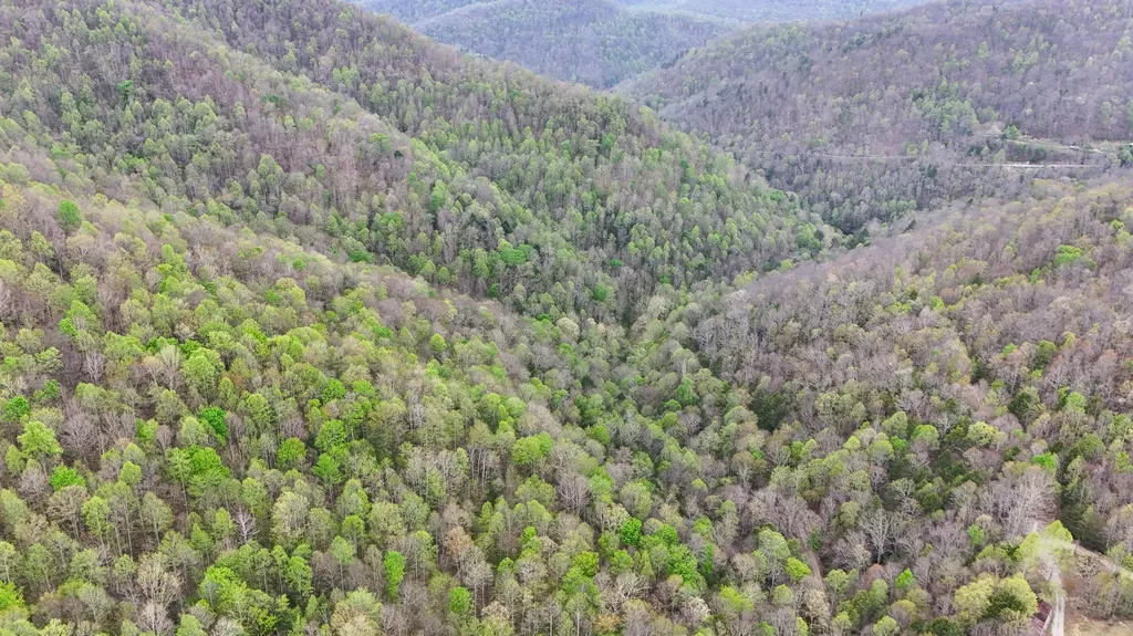 0 Dryfork Road Helton KY 40840