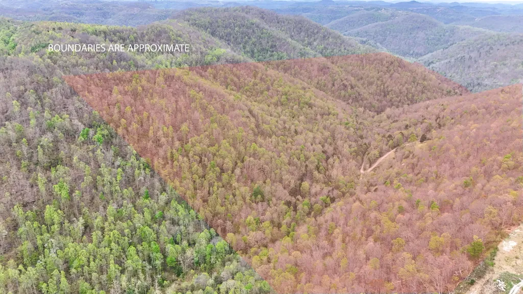 0 Dryfork Road Helton KY 40840
