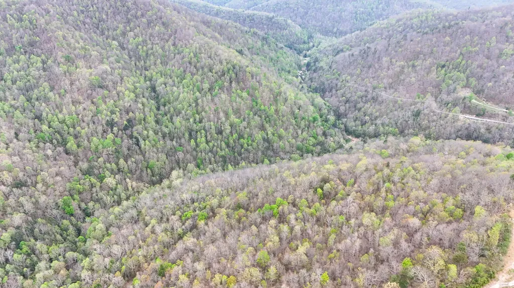 0 Dryfork Road Helton KY 40840