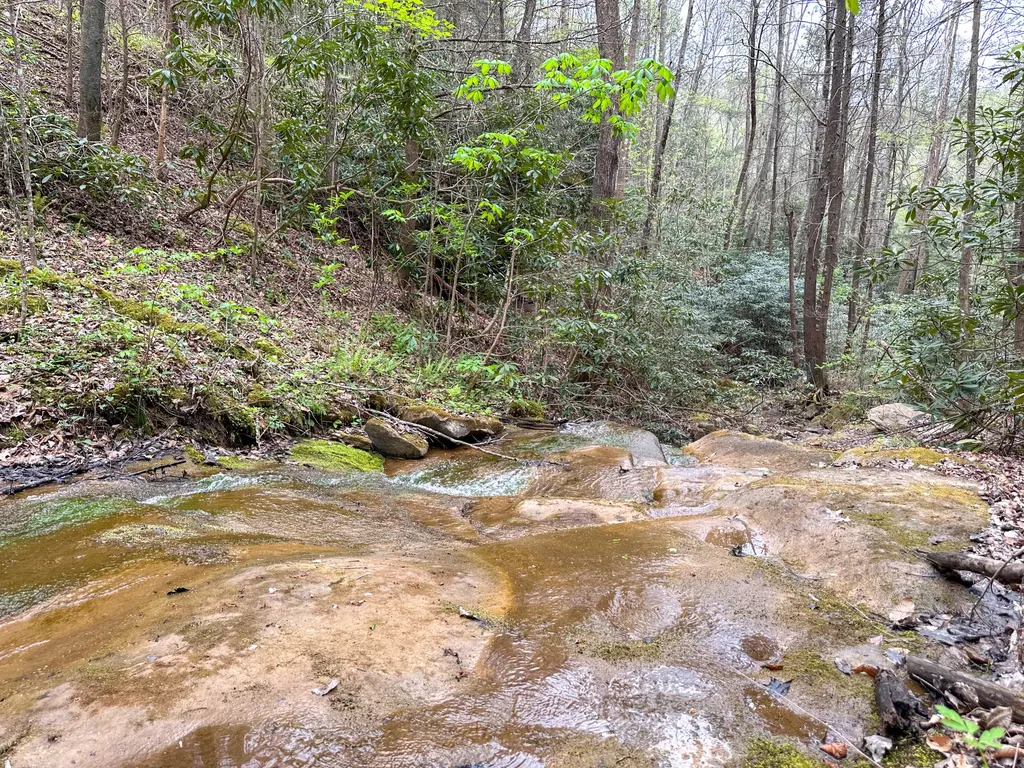 0 Dryfork Road Helton KY 40840