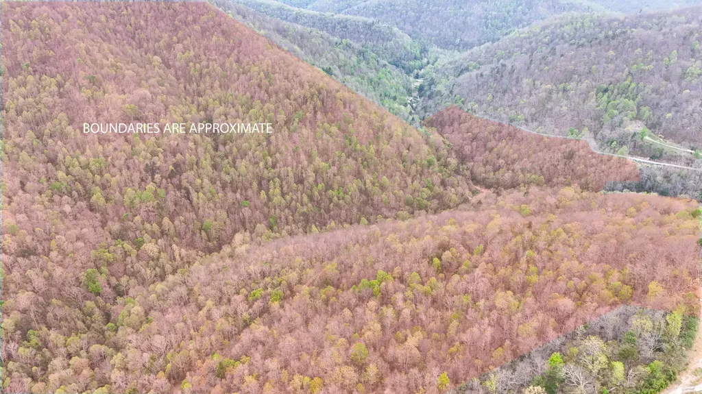 0 Dryfork Road Helton KY 40840