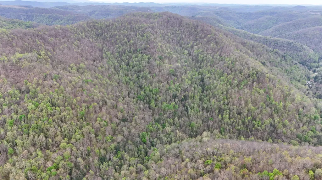 0 Dryfork Road Helton KY 40840