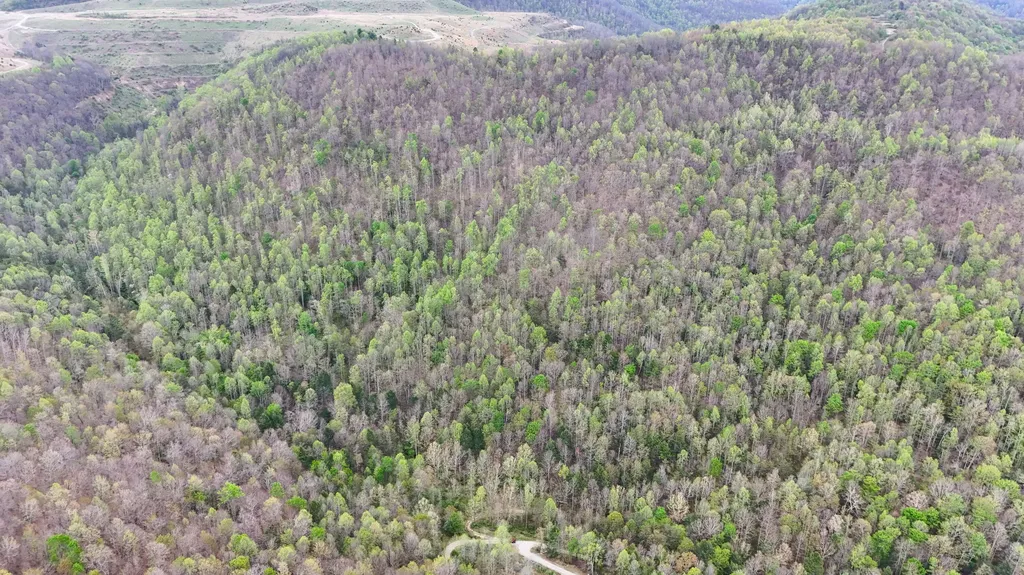 0 Dryfork Road Helton KY 40840