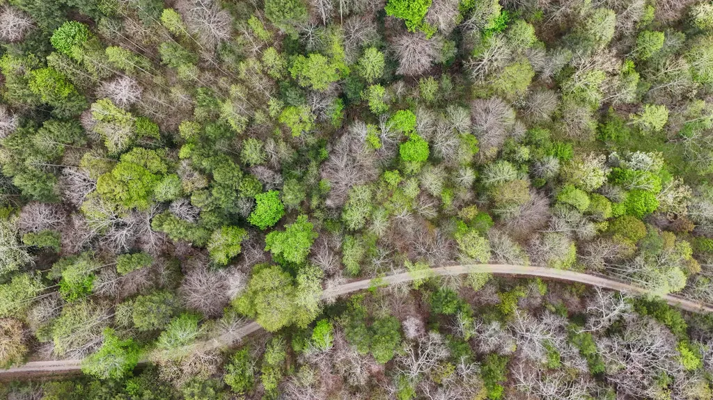 0 Dryfork Road Helton KY 40840