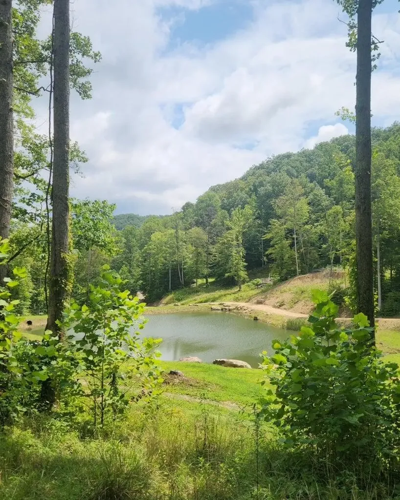 170 Birch Hollow Road Stanton KY 40380
