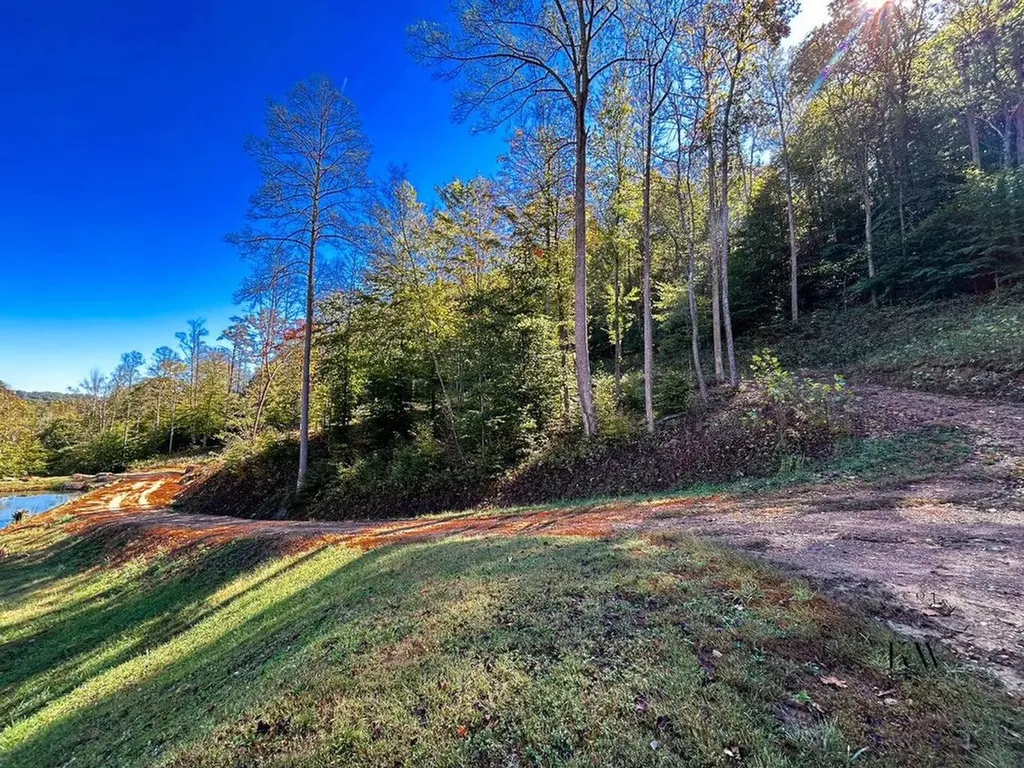 170 Birch Hollow Road Stanton KY 40380