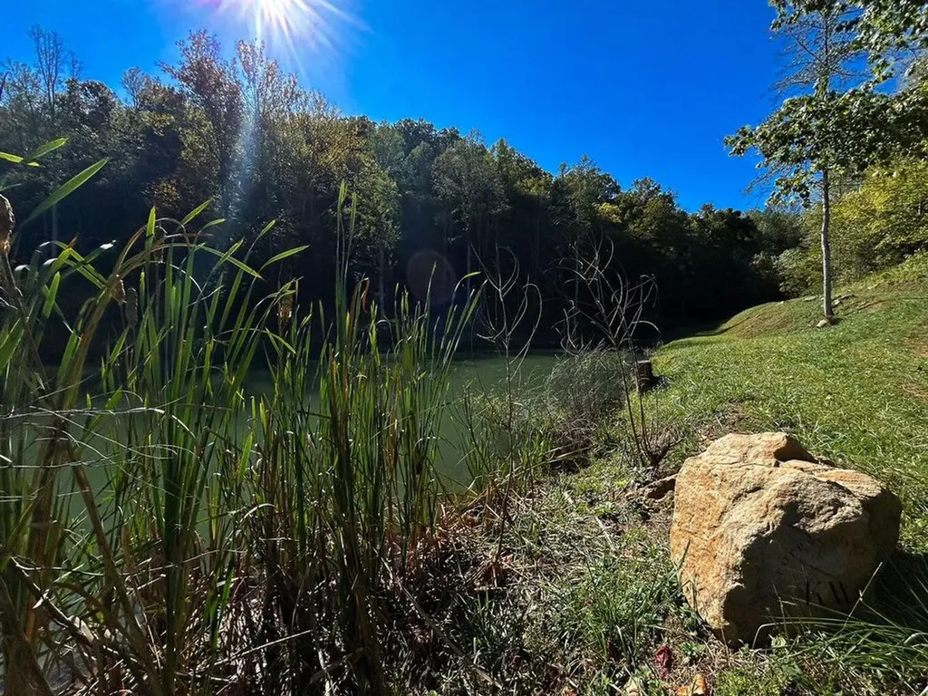170 Birch Hollow Road Stanton KY 40380