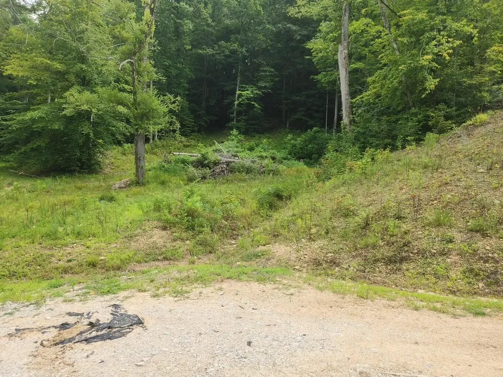 170 Birch Hollow Road Stanton KY 40380