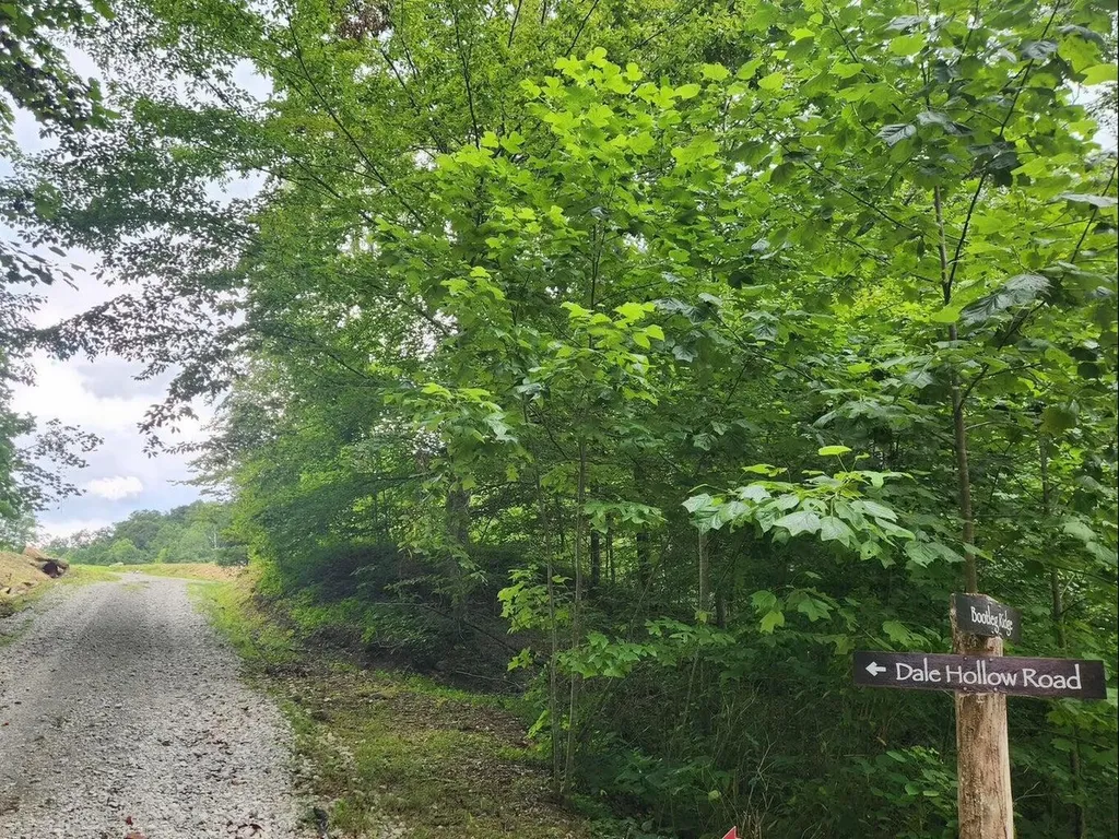 170 Birch Hollow Road Stanton KY 40380