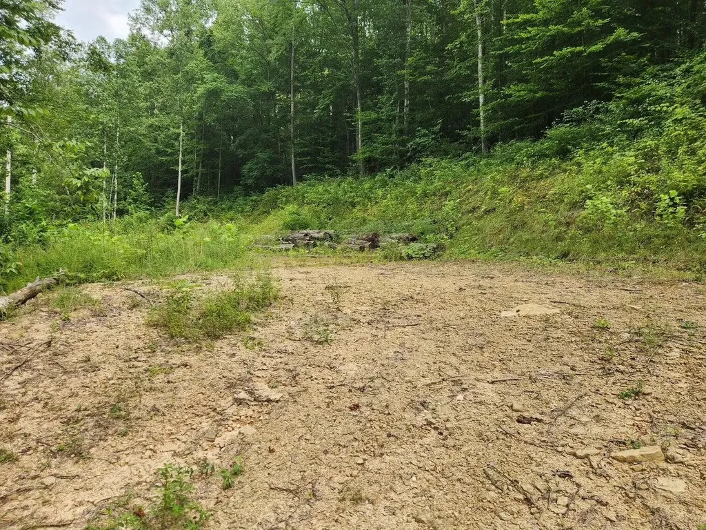 170 Birch Hollow Road Stanton KY 40380