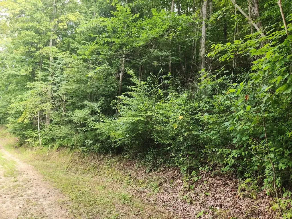 170 Birch Hollow Road Stanton KY 40380